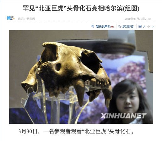 远东北亚巨虎和残暴狮谁厉害?