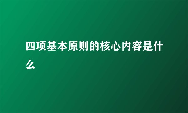 四项基本原则的核心内容是什么