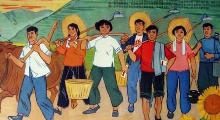 上山下乡是哪一年开始?