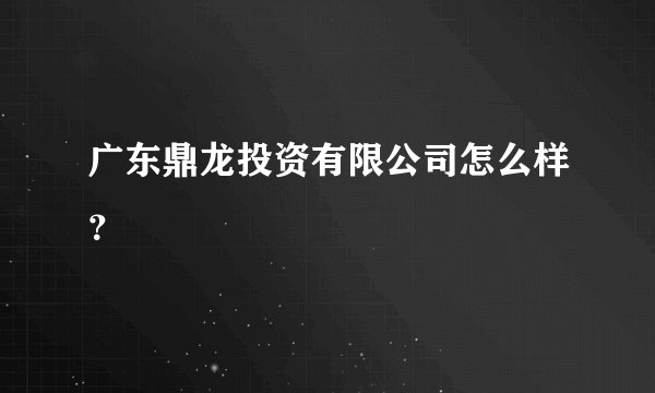 广东鼎龙投资有限公司怎么样？