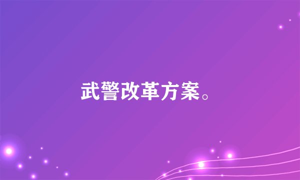 武警改革方案。