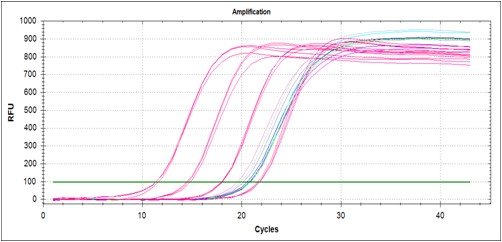 荧光定量PCR的操作步骤