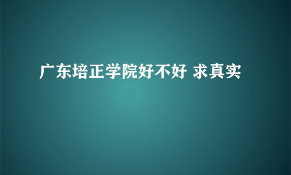 广东培正学院好不好 求真实