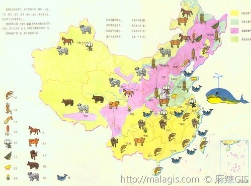 地图符号的分类