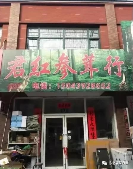 鹿茸泡酒比例多少合适?