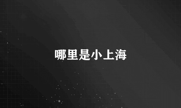 哪里是小上海