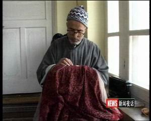 沙图什的藏羚羊