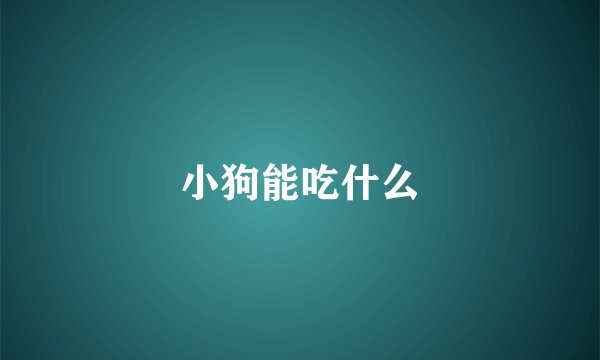 小狗能吃什么