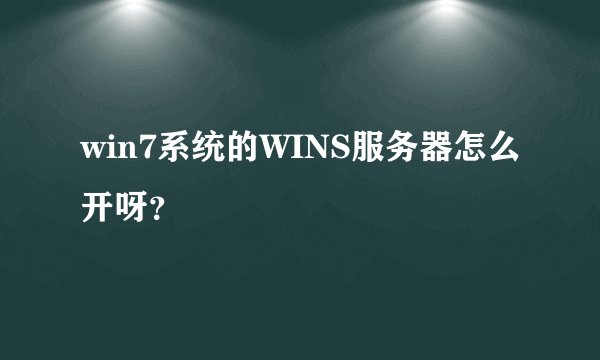 win7系统的WINS服务器怎么开呀？