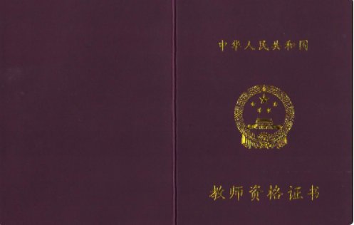 考体育教师资格证考什么科目?