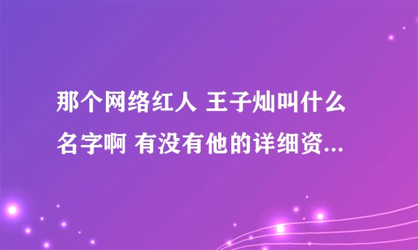 那个网络红人 王子灿叫什么名字啊 有没有他的详细资料啊？？