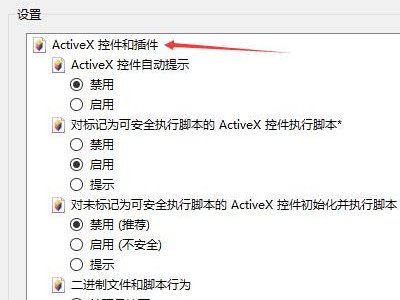 请将IE安全设置不允许不运行未标记为安全的activex控件启用怎么办
