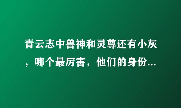 青云志中兽神和灵尊还有小灰,哪个最厉害,他们的身份,特别是小灰,