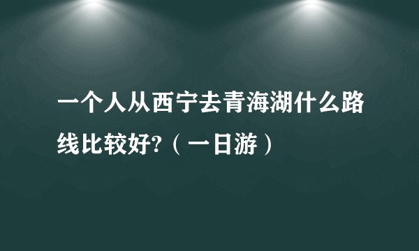 一个人从西宁去青海湖什么路线比较好?（一日游）