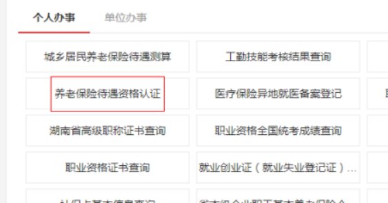 邵阳老年网怎么进行退休人员身份认证