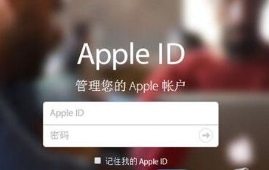 apple lD密码是什么？