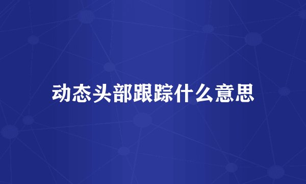 动态头部跟踪什么意思