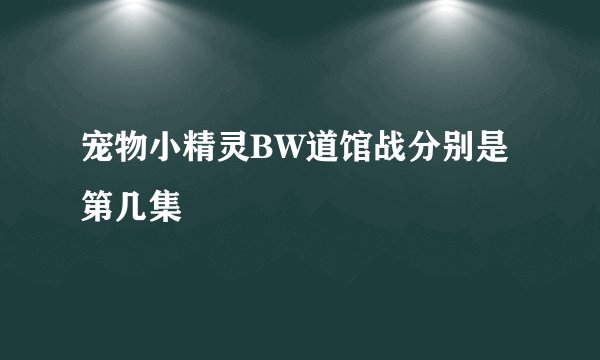 宠物小精灵BW道馆战分别是第几集
