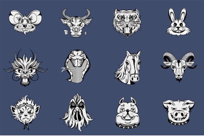 焦心如焚打一准确生肖