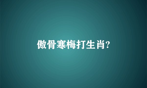 傲骨寒梅打生肖?