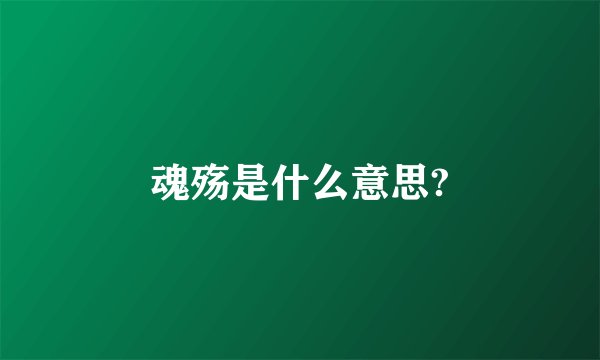 魂殇是什么意思?