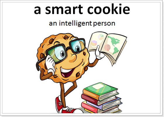 Cookie的俚语是什么意思？