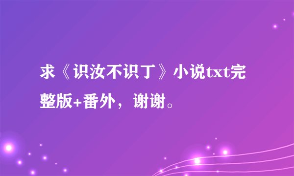 求《识汝不识丁》小说txt完整版+番外，谢谢。
