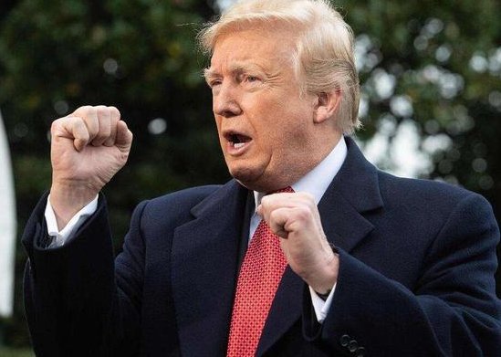 特朗普部分文件被公开！其中披露了哪些信息？