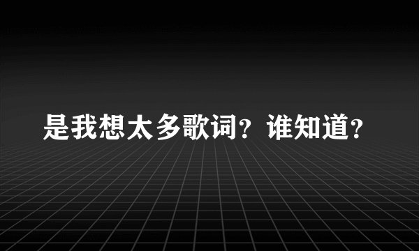 是我想太多歌词？谁知道？