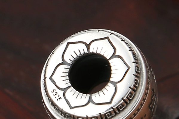 四六转动五坠打一生肖