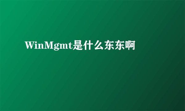 WinMgmt是什么东东啊