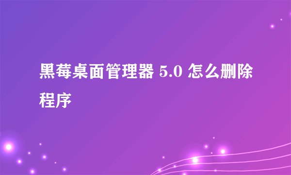 黑莓桌面管理器 5.0 怎么删除程序