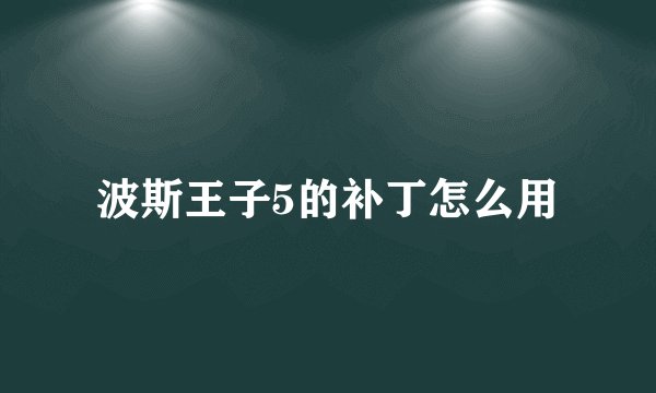 波斯王子5的补丁怎么用