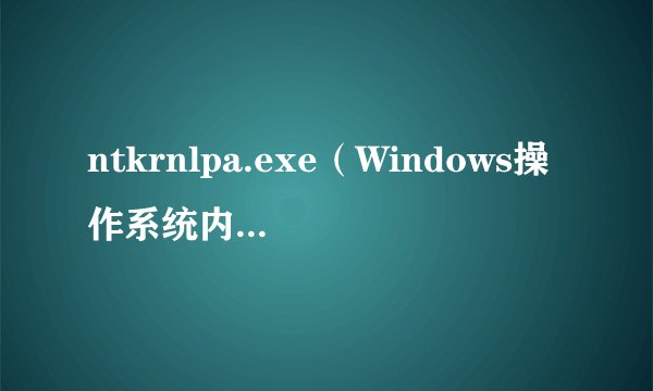 ntkrnlpa.exe（Windows操作系统内核文件）