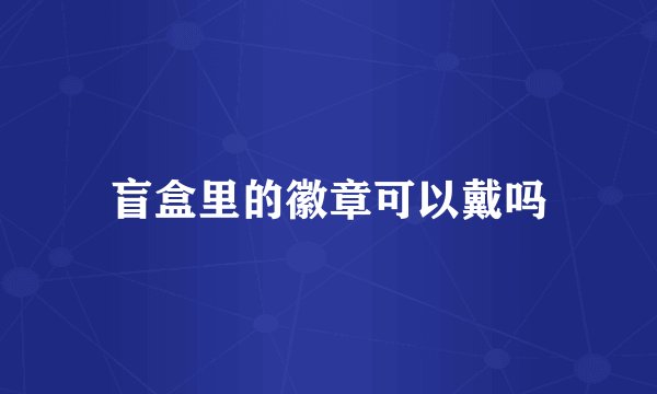盲盒里的徽章可以戴吗