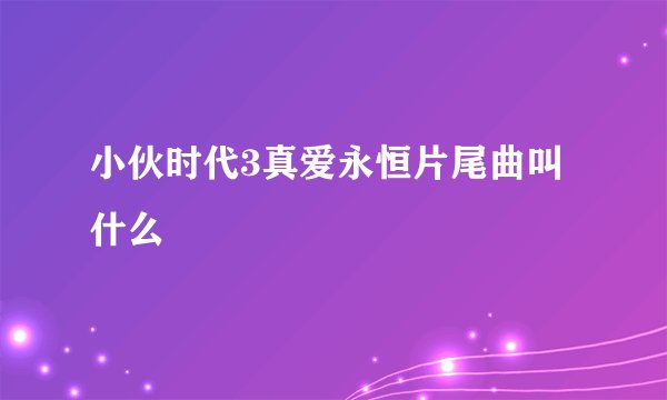 小伙时代3真爱永恒片尾曲叫什么