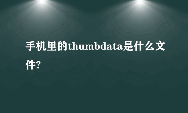 手机里的thumbdata是什么文件?