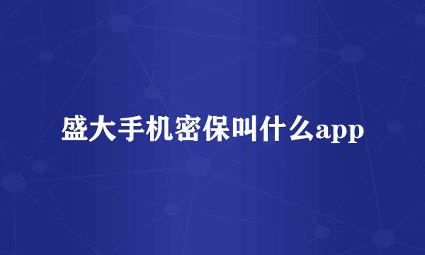盛大手机密保叫什么app