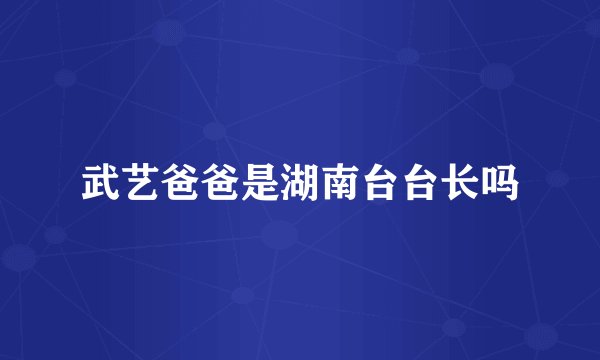 武艺爸爸是湖南台台长吗