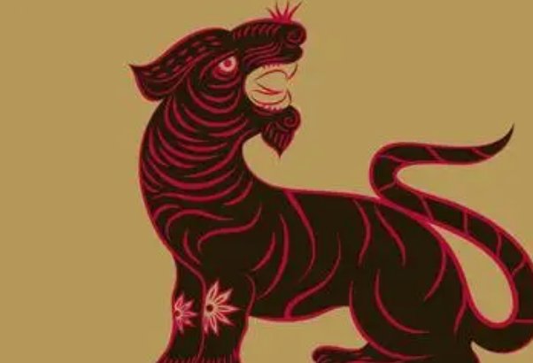 游侠骑士指什么动物