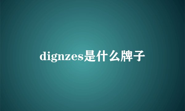 dignzes是什么牌子