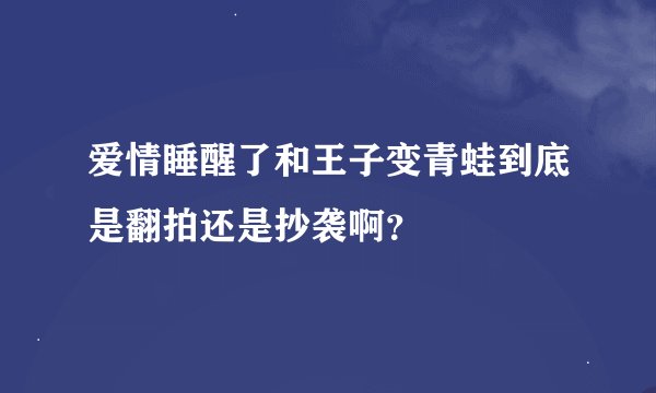 爱情睡醒了和王子变青蛙到底是翻拍还是抄袭啊？