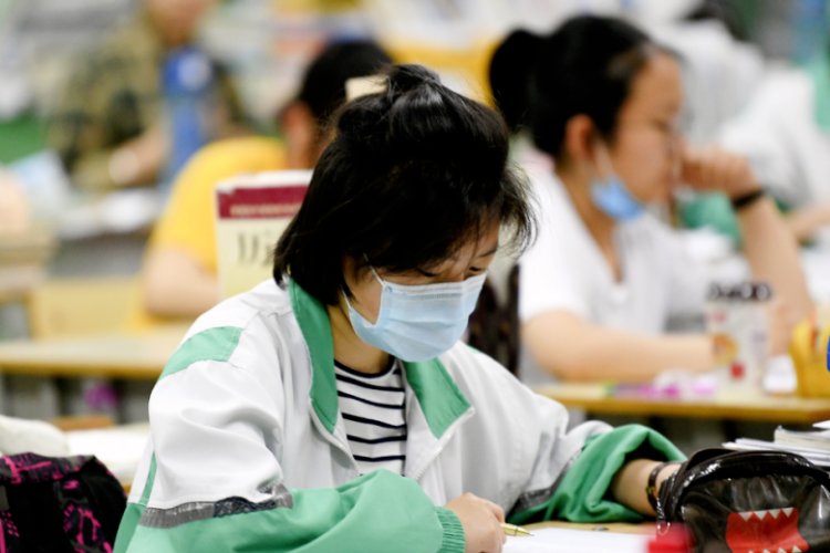 安徽理综各科占多少分