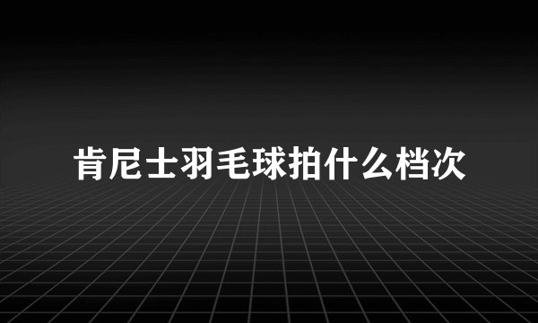 肯尼士羽毛球拍什么档次