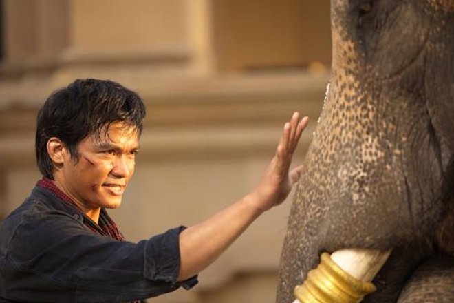 托尼贾主演的全部电影