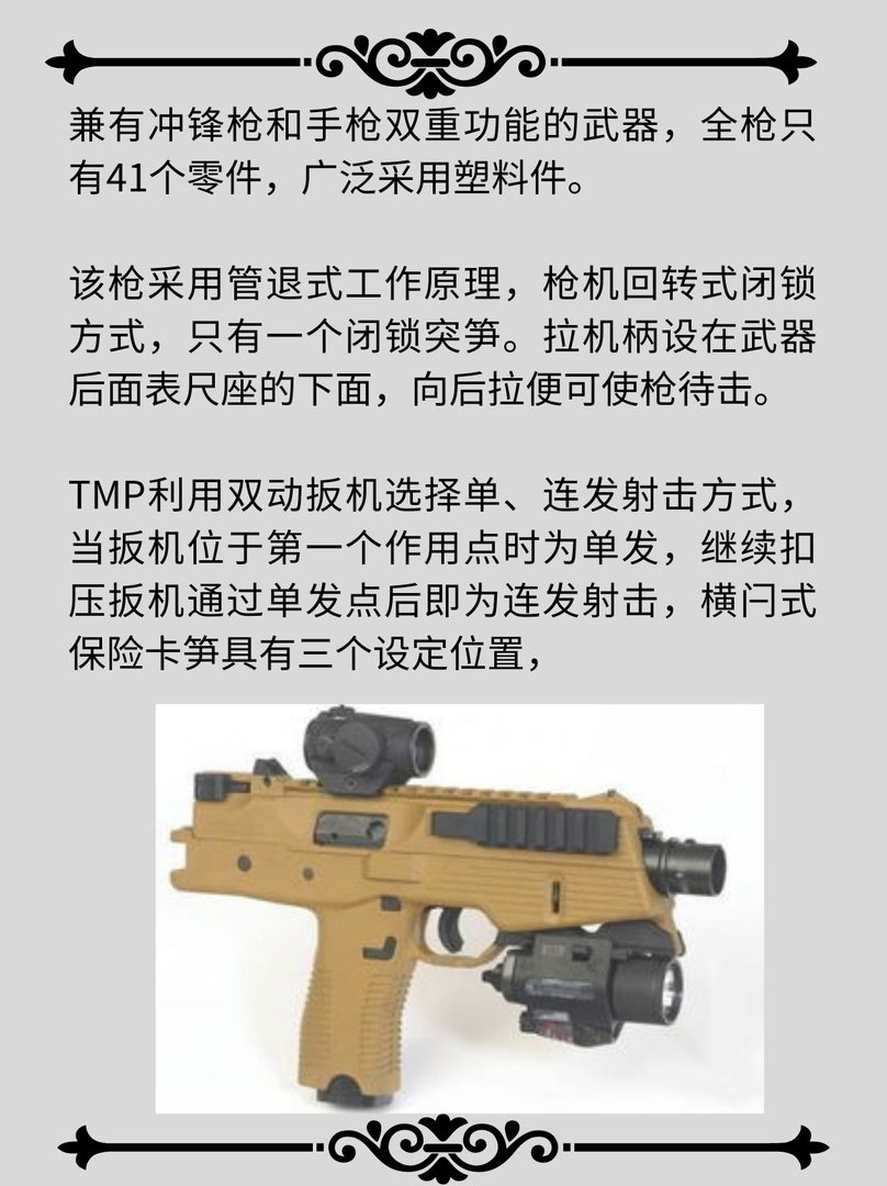 施泰尔TMP战术冲锋手枪