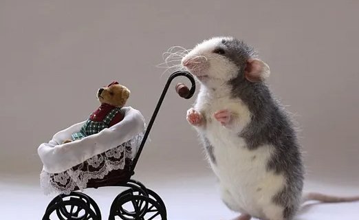 龙血玄黄猜生肖是什么