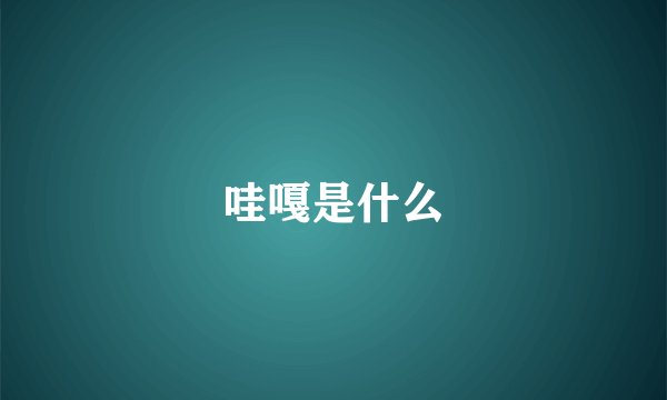 哇嘎是什么