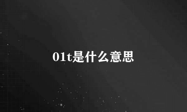 01t是什么意思