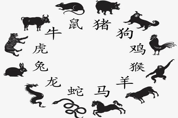 痛并思痛打一正确生肖